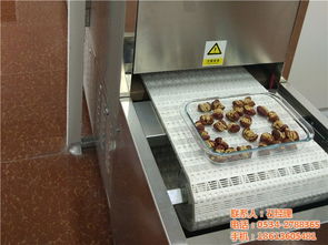 千弘微波STJ型蔬菜烘干脫水機 優(yōu)質(zhì)商家推薦的果蔬烘干解決方案