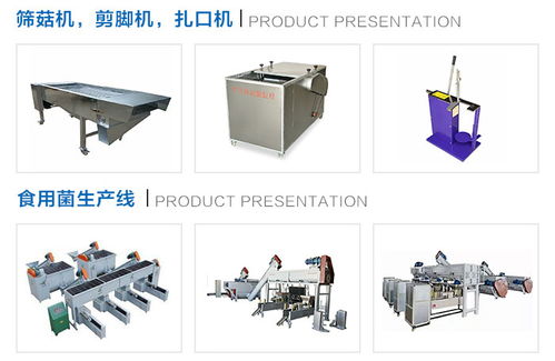 隨州鴻宇機械設(shè)備廠家小型羊肚菌烘干箱與果蔬烘干機市場價格解析